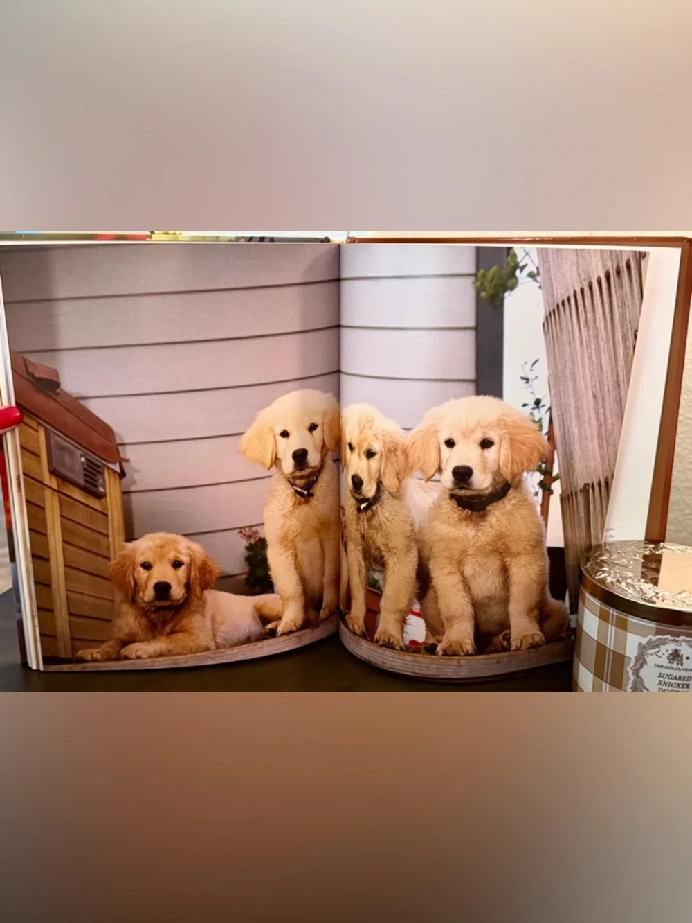 3 Dog Books/Bookmark~Love of Goldens, 101 Uses for a Golden, What Dogs Teach Us